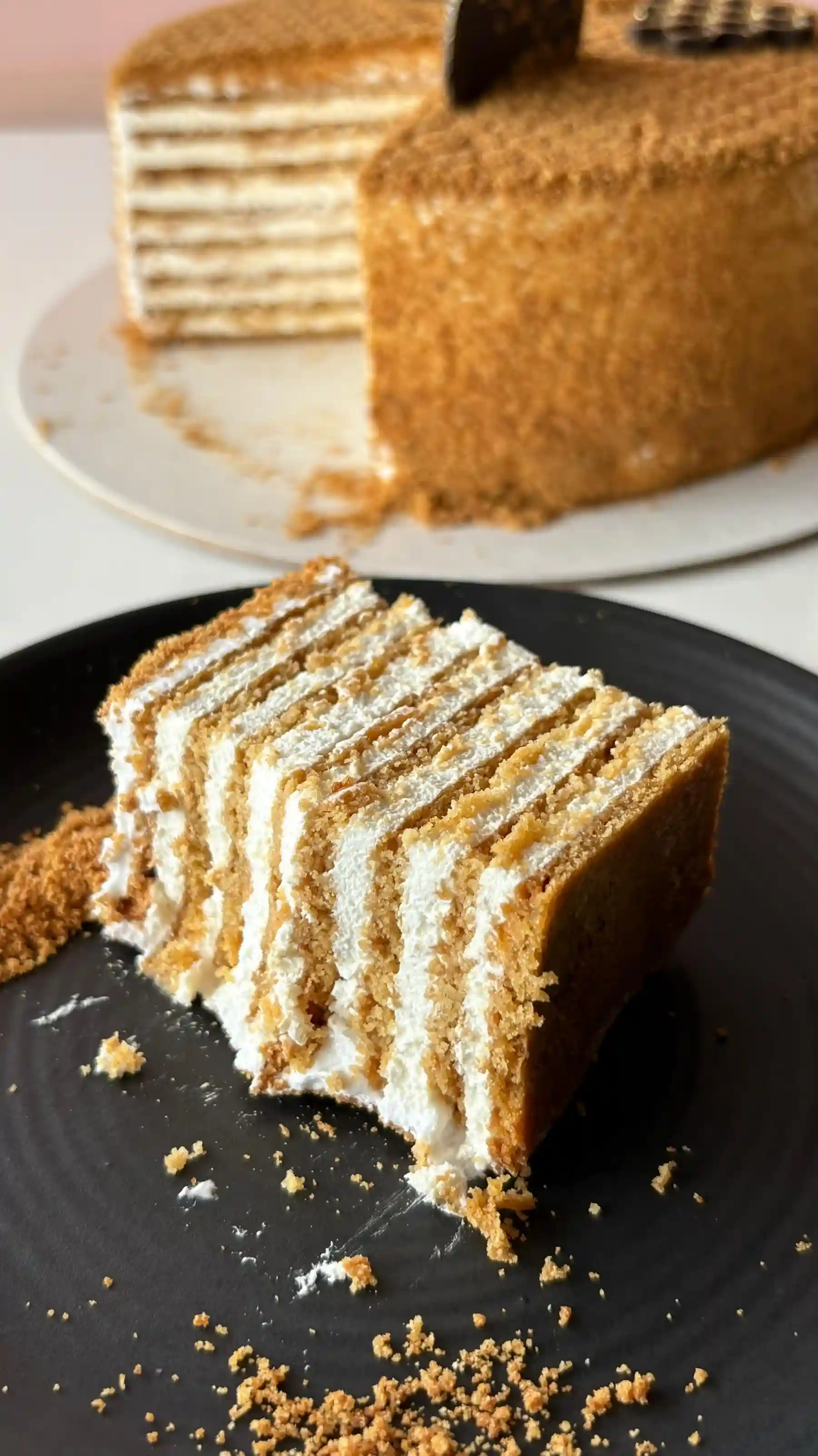 Millet Magic Russian Honey Cake 3 - By Farida
