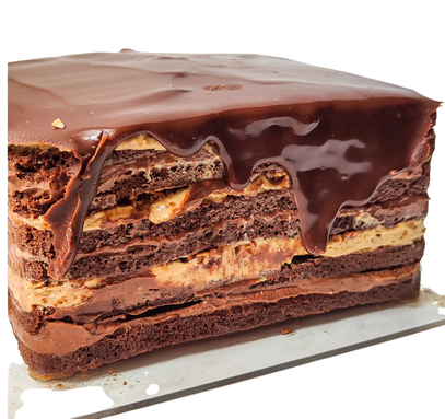 Theobroma Cacoa - 2 - By Farida Taher