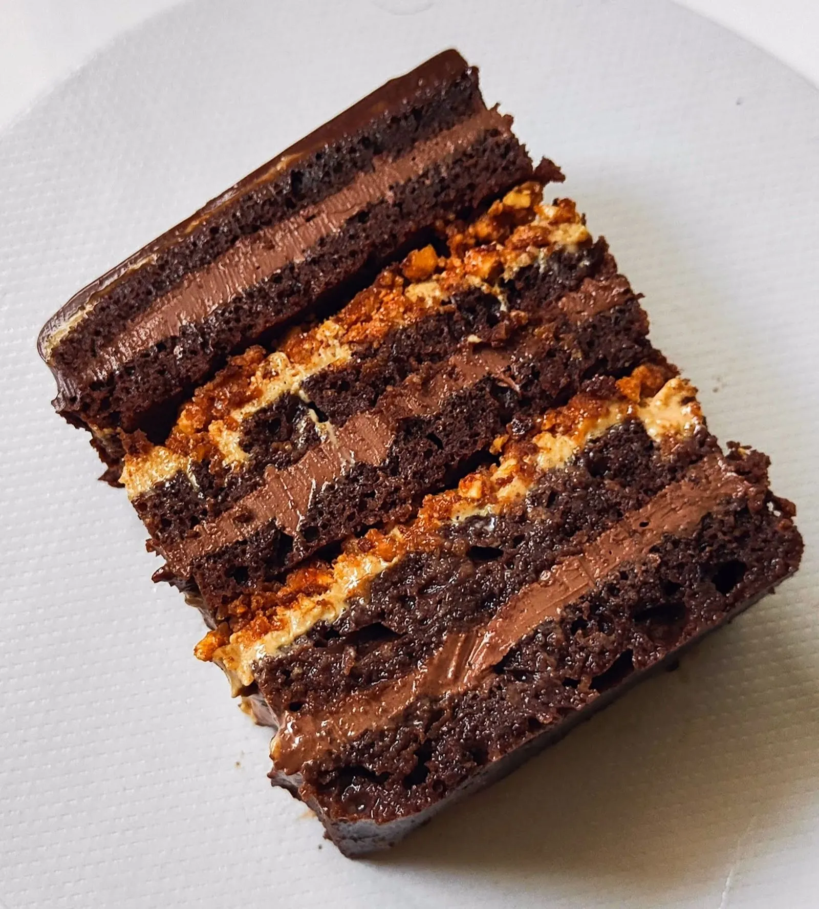 Theobroma Cacoa - 2 - By Farida Taher