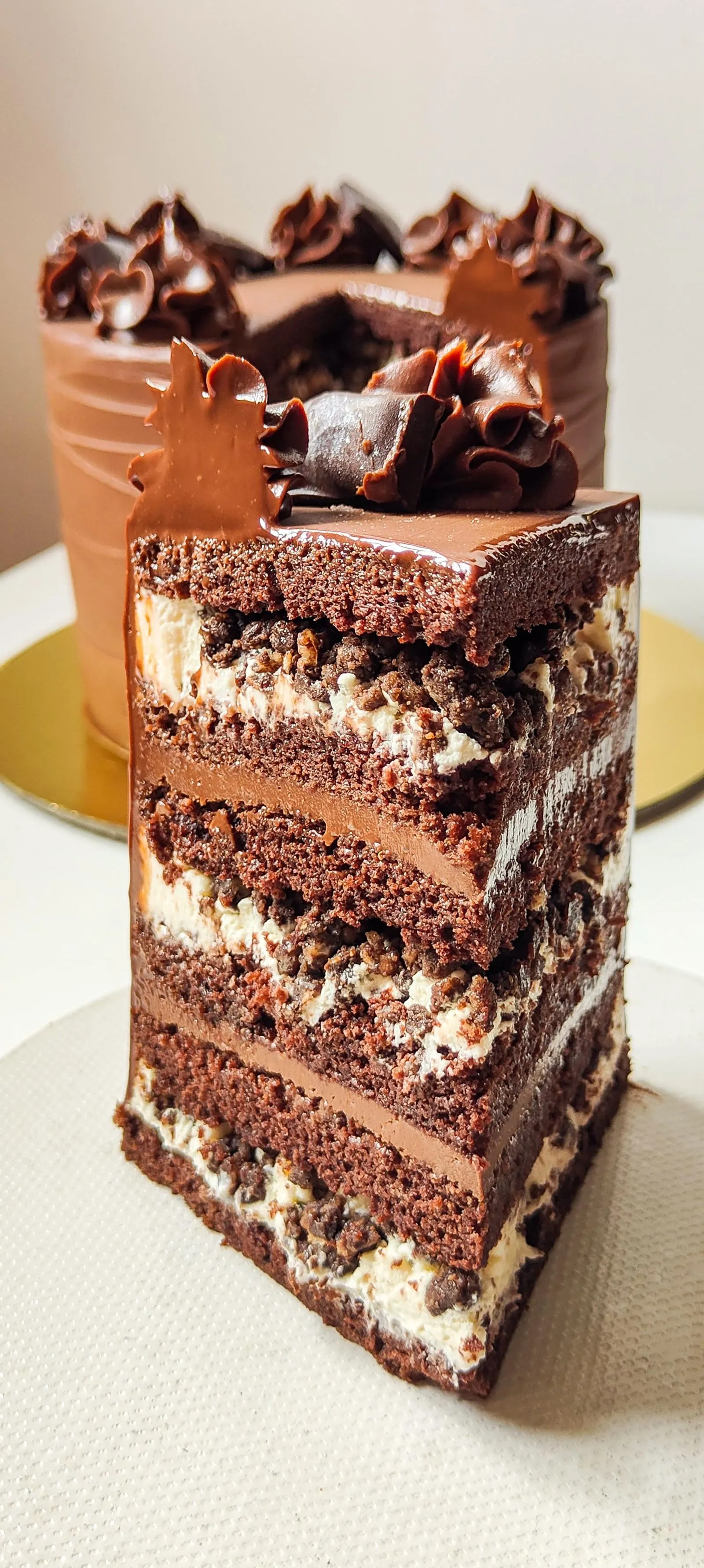 Theobroma Cacoa - 2 - By Farida Taher
