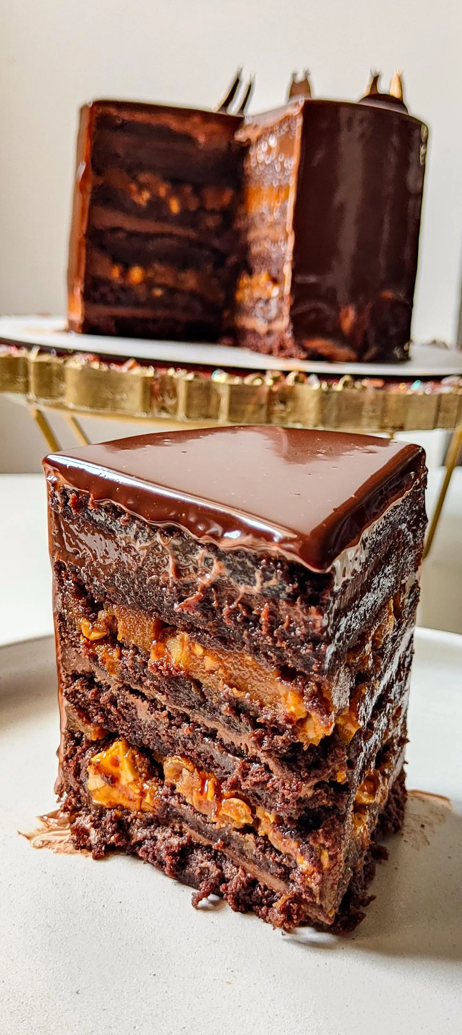 Theobroma Cacoa - 2 - By Farida Taher